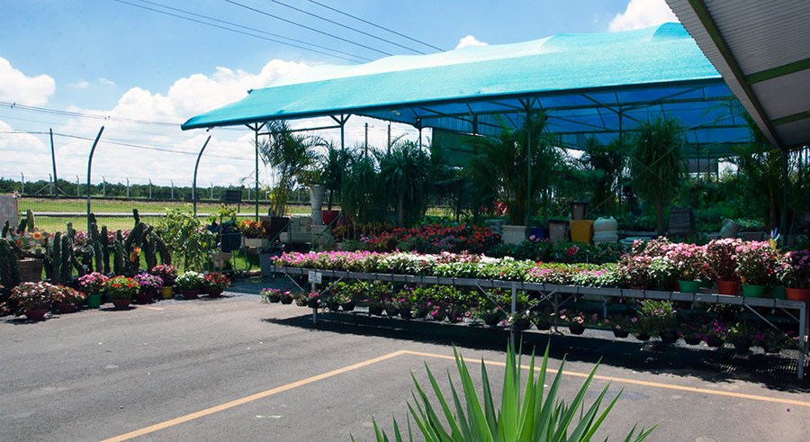 Galeria