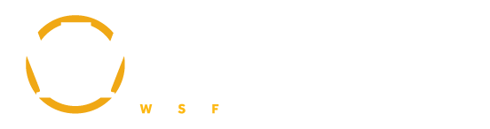 WOLVES Logo Branco